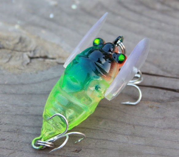 Przynęta na owady 6g cykady wę – Fishing Equipment Deals recenzja i cena
